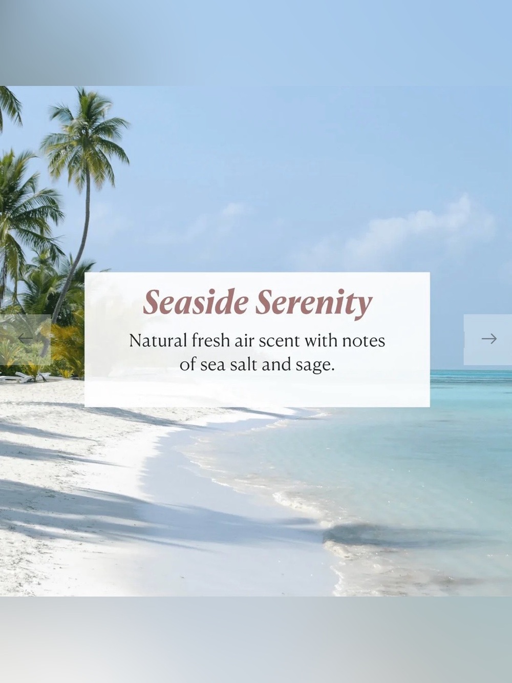 Nakery SkinRenew Face, Body + Hair Wash 33.8 Fl Oz (Seaside Serenity)-NEW - Picture 6 of 6